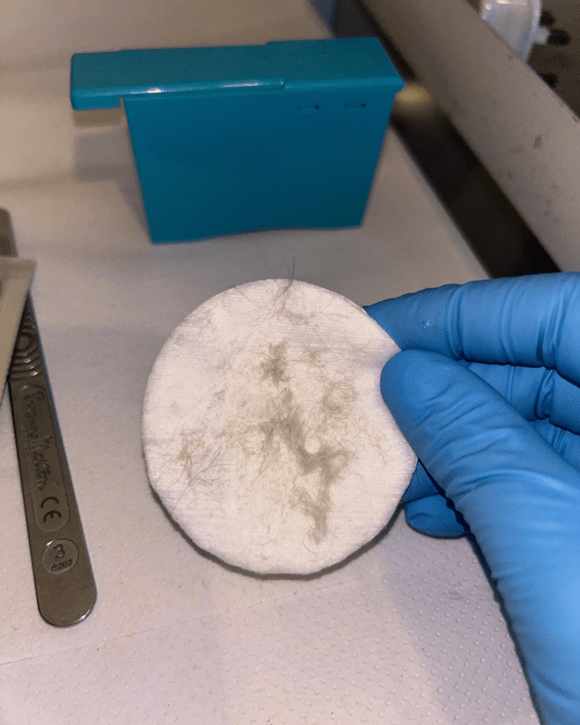 Untitled design (69)